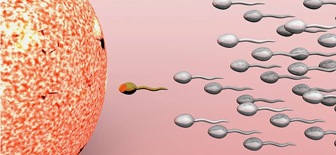 Spermaqramma nədir, sperma müayinəsi, sperma analizi, sperma faizi